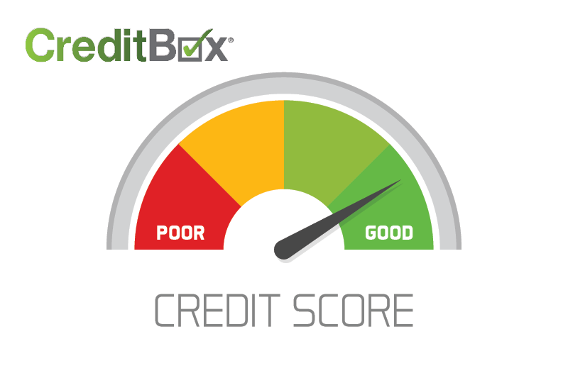 No Credit? Use This Guide to Building Credit Credit Large