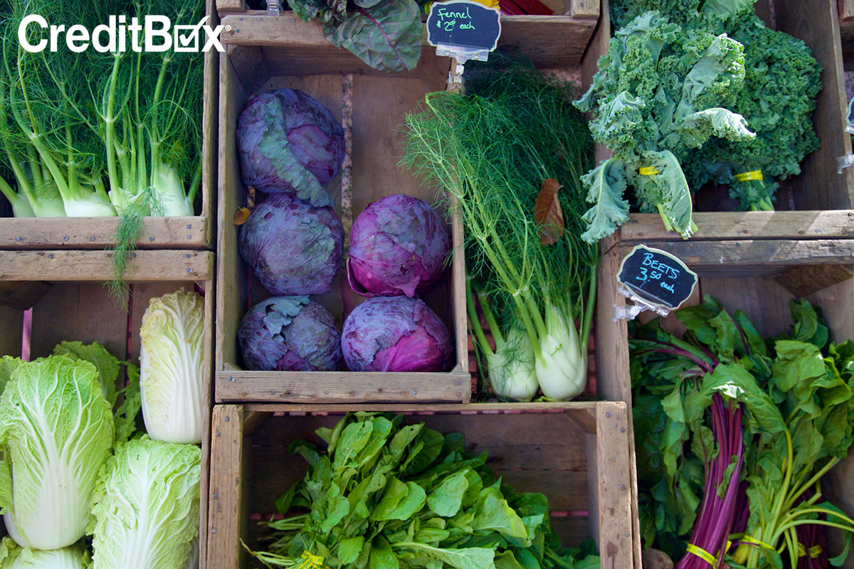 Grocery Shopping on a Budget: Farmer’s Market vs. Grocery Store Grocery Shopping on a Budget: Farmer’s Market vs. Grocery Store