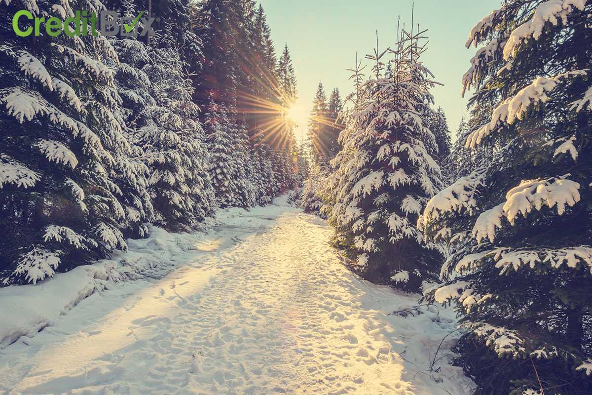 Plan Your Winter Getaway on a Budget! Plan Your Winter Getaway on a Budget!