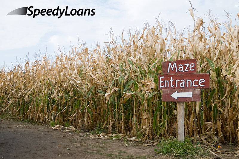 The Best Fall Activities near Waukegan, IL The Best Fall Activities near Waukegan, IL
